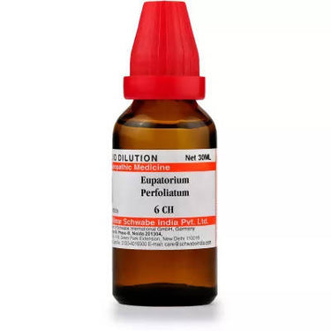 https://cdn.shopify.com/s/files/1/1857/6931/products/AJx9CLjq07.jpg?v=1655105142